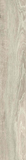 Grand Wood Prime Grey 1198x198x8mm